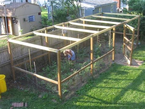Blueberries are bursting with vitamins and antioxidants which may reduce inflammation, improve blood flow and reduce cholesterol levels. Grow it! Eat it!: 6/1/10 - 7/1/10 | Garden enclosure ideas ...