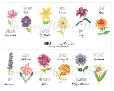 Korean Birth Flower Month Wretched Logbook Image Library