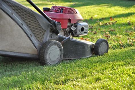 Lawn services for the greater chesapeake area. Lawn Service, Brush Removal, Mowing, Chesapeake, VA