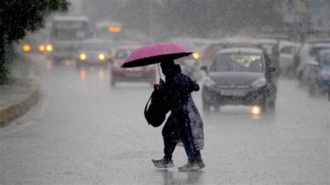Heavy Rain Lashes Vadodara Holiday In Schools Tomorrow Weather Updates On July 31 India