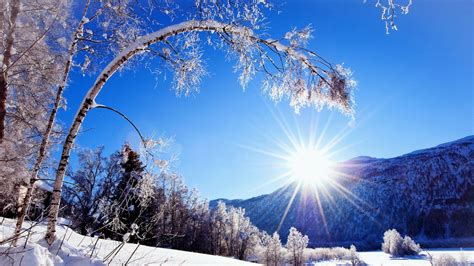 Obra de arte, paisaje, montañas, bosque, hombres, minimalismo, onda de vapor, fondo de pantalla hd. Estampa nevada 1920x1080 HD | FondosWiki.com