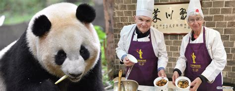 1 Day Chengdu Tour With Giant Panda And Cooking Experience