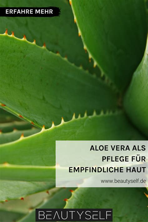 Aloe Vera Gel als Pflege für eine empfindliche Haut ...