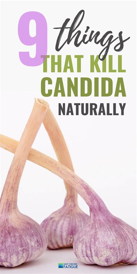 Treating Candida Naturally The Combined Step Process That Works Candida Symptoms Candida
