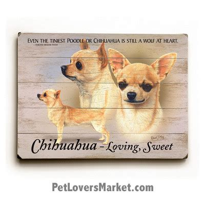 53 chihuahua famous sayings, quotes and quotation. Quotes about Chihuahua (75 quotes)