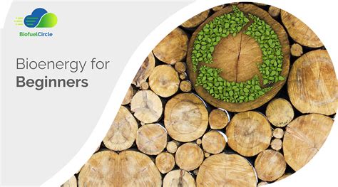 Bioenergy For Beginners