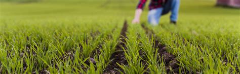 Based in new zealand, new image group reaches customers through a rapidly growing group of independent representatives in australia, hong kong, indonesia, malaysia, new zealand, the philippines, singapore, south a complete range of products and services nz new image, sdn. Basic agronomy - Learn it all here at Vaderstad
