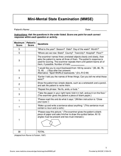 Folstein Mini Mental State Exam Research Paper Example