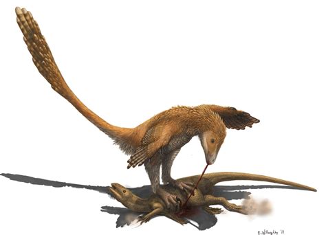 A Dinosaur A Day · Deinonychus Antirrhopus