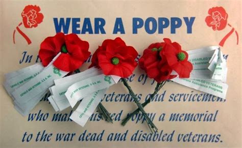Lady Linda ♡ Veterans Day Poppies