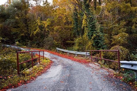 Picture Autumn Nature Fence Roads Forests