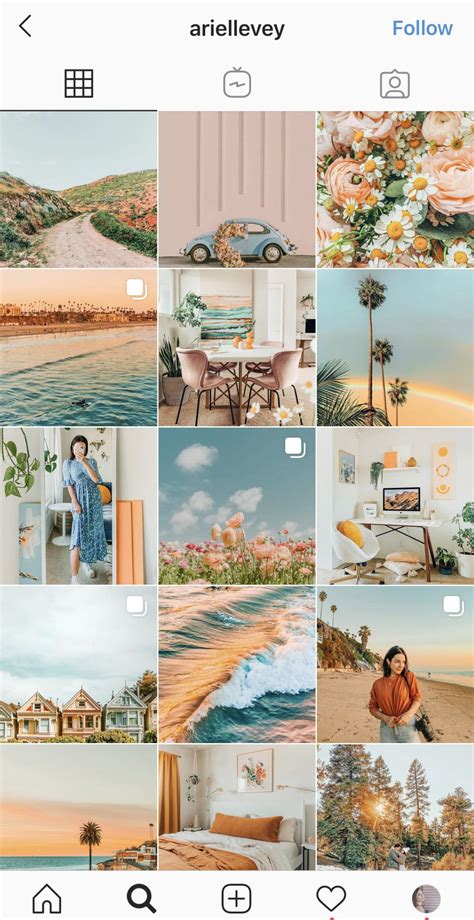 The Best Instagram Color Themes For Your Zodiac Sign Best Instagram