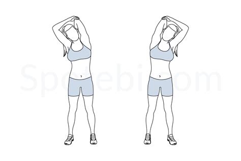 Triceps Stretch Illustrated Exercise Guide