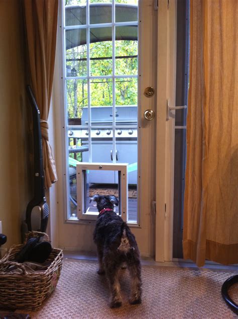 This is a labor intensive job and it can be hard to find a glass shop. The Common Sense Patio Door Pet Door « Dog Door for ...