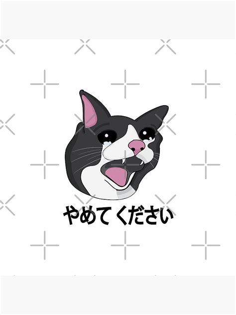 Yamete Kudasai Meme Crying Cat Yamero Japanese Words Pin By