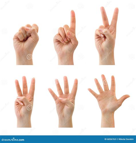 Counting Hands 0 To 5 Stock Image Image Of Concepts 6836763