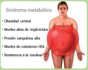 El Sindrome Metabolico Asesoría Médica al Alcance de Todos