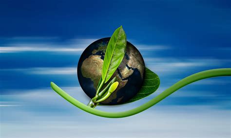9 Benefits Of Going Green For Businesses Moneyhighstreet