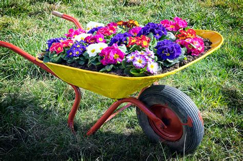 33 Planter Wheelbarrow Ideas For Your Garden That Add More Charm Than Ever