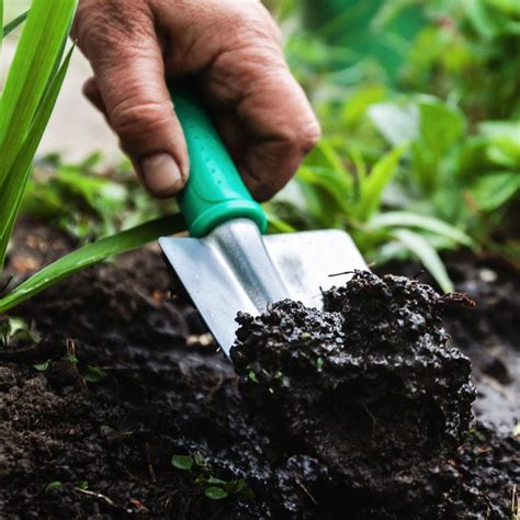Collecting a sample and sending it off for professional analysis and advice is easier than. Topsoil VS Garden Soil - What's the Difference? - Haute ...