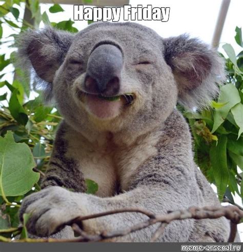 We did not find results for: Meme: "Happy Friday" - All Templates - Meme-arsenal.com