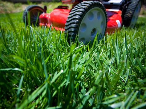 If you want to know how to do that, click the link above i'll be happy to help. Be Smart About Lawn Care | HGTV