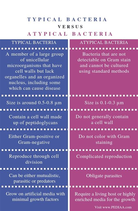 What Is The Difference Between Typical And Atypical Bacteria Pediaacom