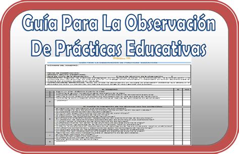 Guia Observacion Primaria Con Criterios Aprendizaje P