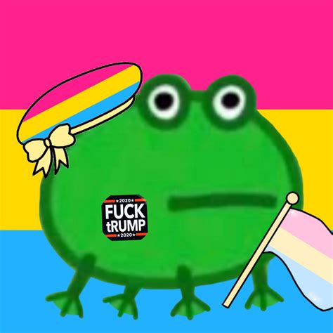 Pfp For Pansexual Trump Haters Feel Free To Edit Freetoedit Frog