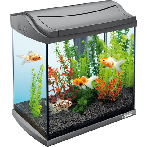 Aquarium Plants Png Png Image Collection