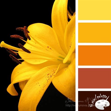 Gallery.ru / Фото #9 - сочетание цвета оттенки желтого и оранжевого ...