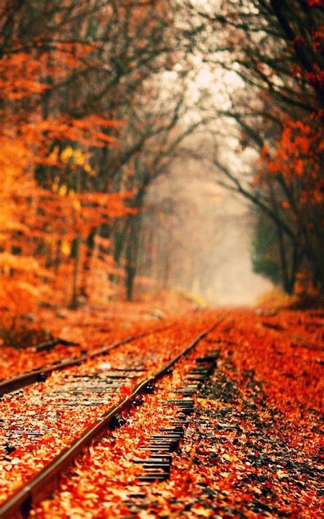 Autumn Wallpapers Best Autumn Wallpaper For Android