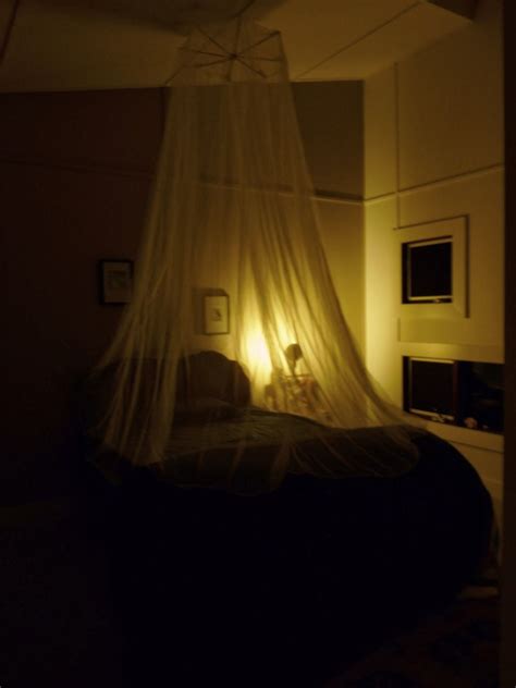 You can now leave the screen of dead mosquitoes outside to feed other animals, or shake them into an exterior trash can. Farmette: January 2014 | Bedroom inspirations, Home, Home ...