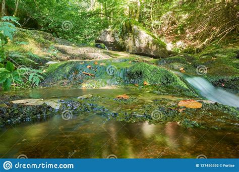 River Passing Through Rocks In A Green Forrest Stock Photo Image Of