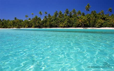 Crystal Clear Beach Free Download Image Id 3409 7hdwallpapers Desktop