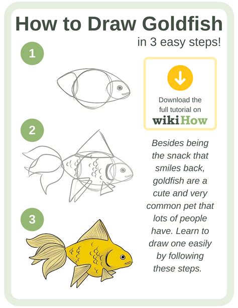 How To Draw Goldfish In 2021 Draw Goldfish Drawings