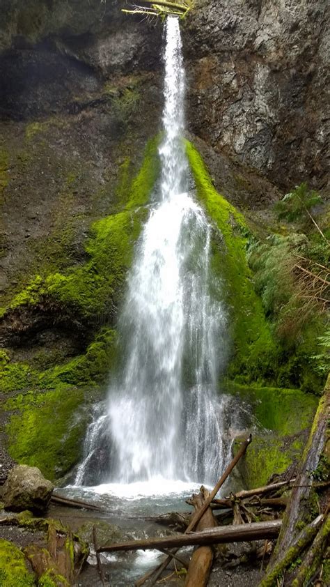 5 Best Olympic National Park Waterfalls Ordinary Adventures