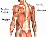 Photos of Teres Major Muscle Exercises