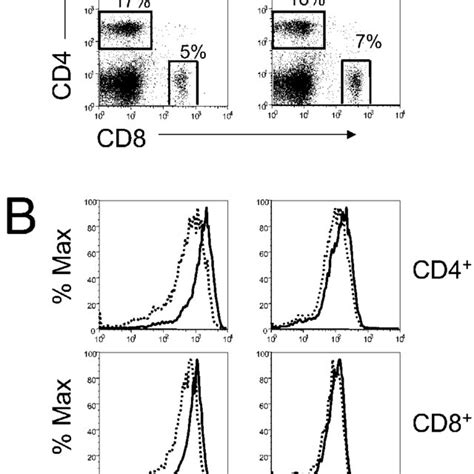 Effect Of Cd5 Enhancer Deletion On Cd5 Expression On Splenic T Cells