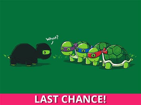 Nerdy Shirts Cool T Shirts Teeturtle Turtle Love Hilarious Funny