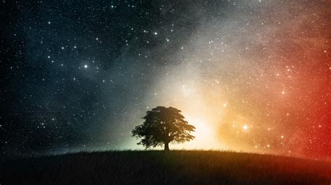 Lonely Tree On Starry Night Wallpaper Other Wallpaper Better