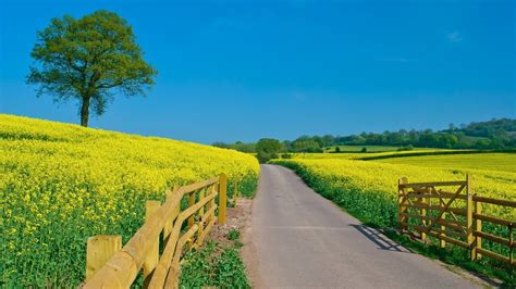 Countryside Roads Wallpapers Hd
