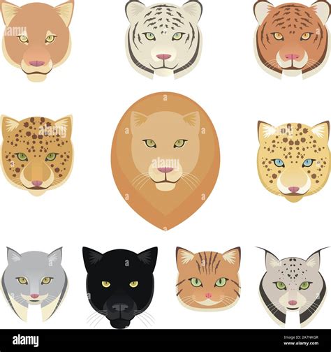 Felines Leopard Panther Lion Tiger Cougar And Jaguar Heads Collection Vector Illustration