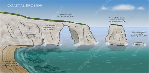 Coastal Erosion Illustration Stock Image C0281135 Science Photo