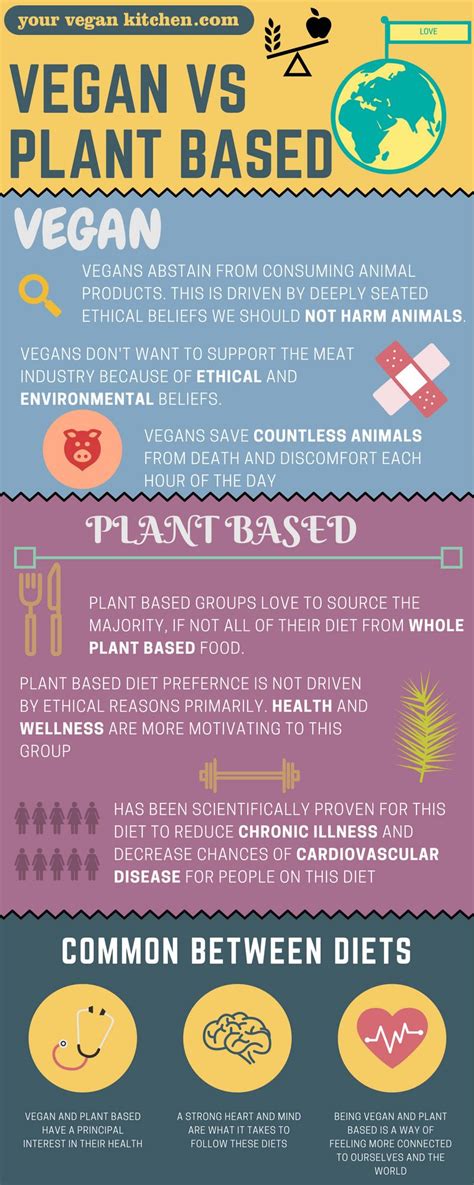 Why I Chose To Start A Plant Based Diet Plant Based Vegan Diet Plant