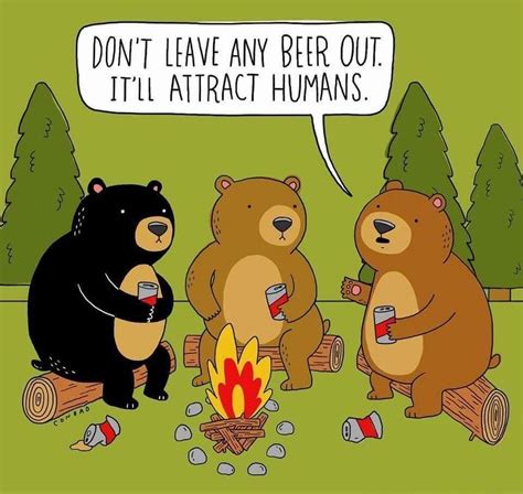Bears Know Camping Jokes Humor Camping Memes Camping Humor