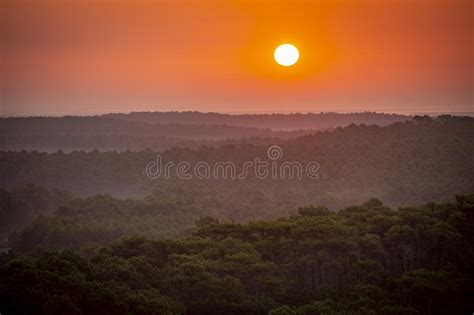 Sunset Forest From The Dune Du Pilat The Biggest Sand Dune In Europe