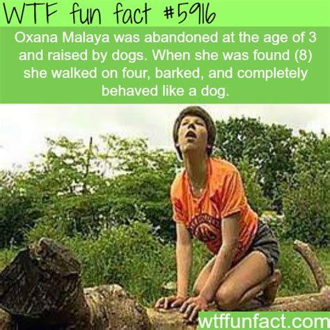 The Girl That Was Raised By Dogs Wtf Fun Facts