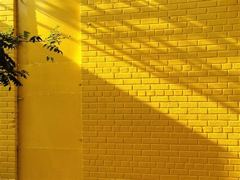 Sometimes I Take Photos Neil Aline © That Yellow Brick Wall