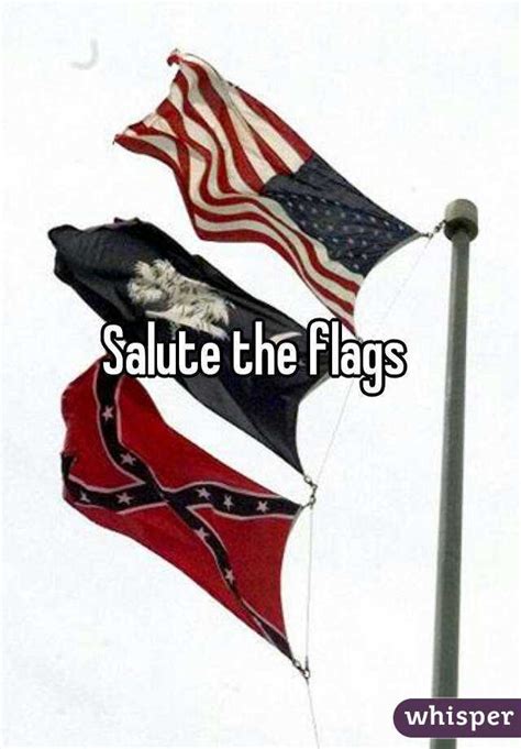 Salute The Flags